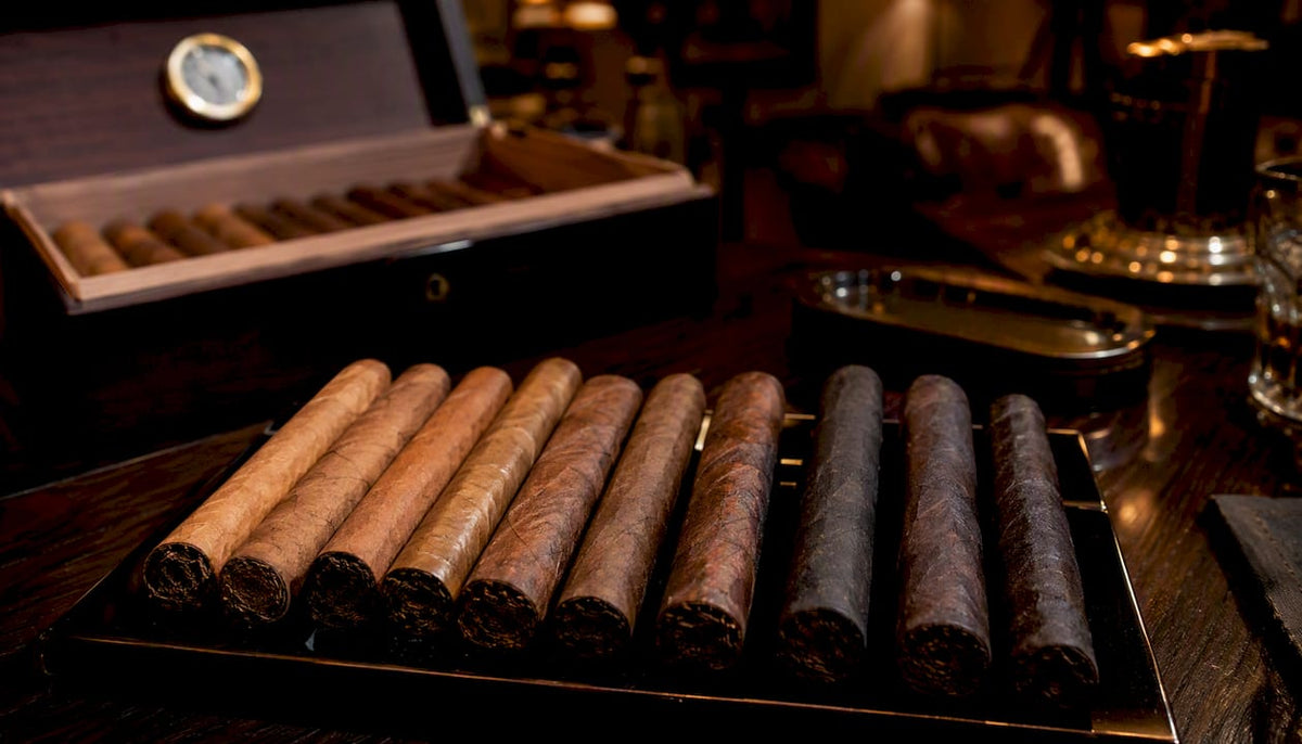 Close-up of various cigar wrappers on cigars