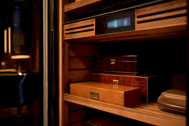 Cedar-lined cabinet preserving cigar collection