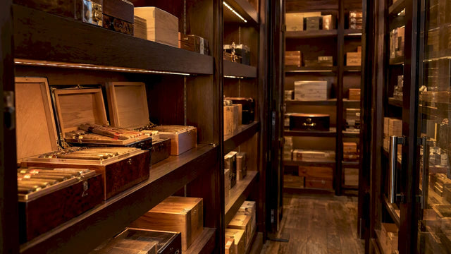 Warm LEDs illuminate cigar boxes on humidor shelves