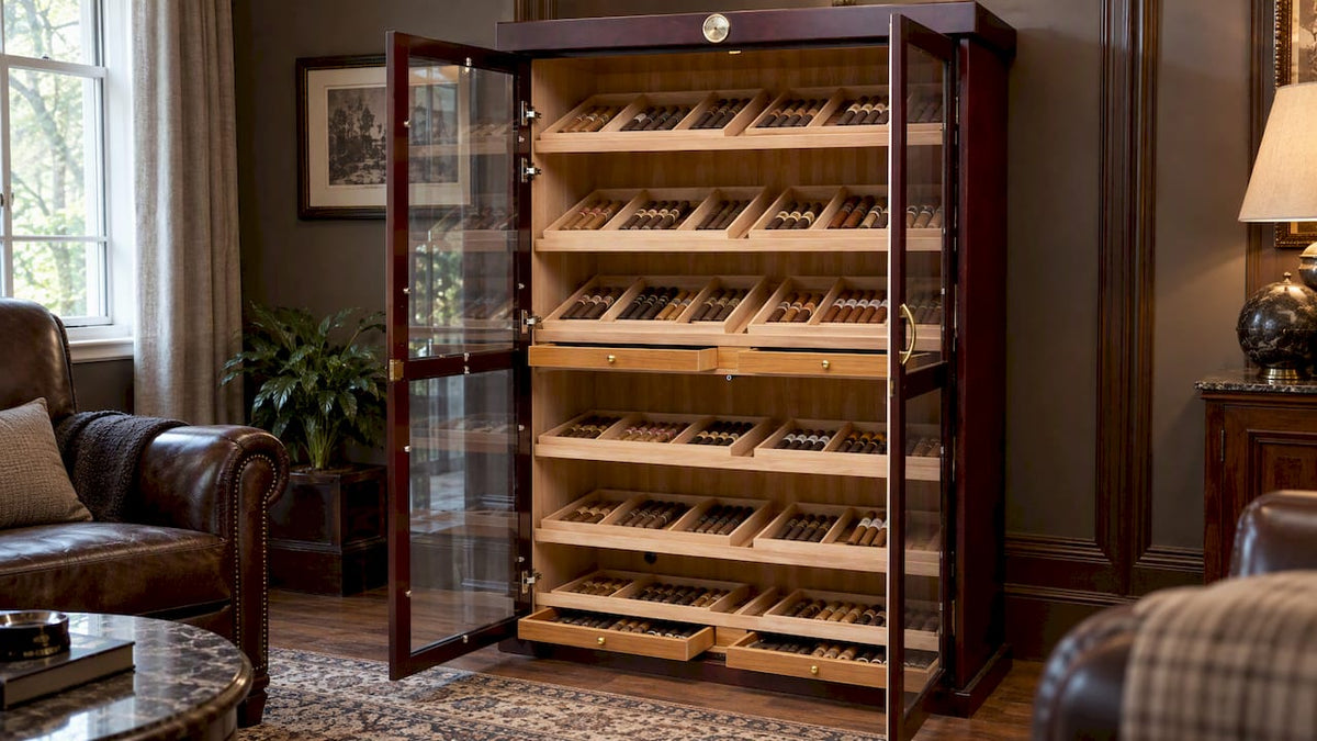 Cigar cabinet shelves holding a mixed collection