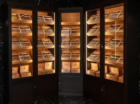 Corner display showcase with lit shelves of boxed cigars
